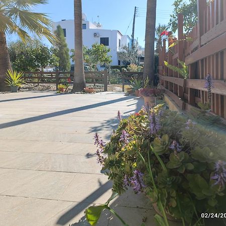 Palm Garden Paradise Перволия Экстерьер фото