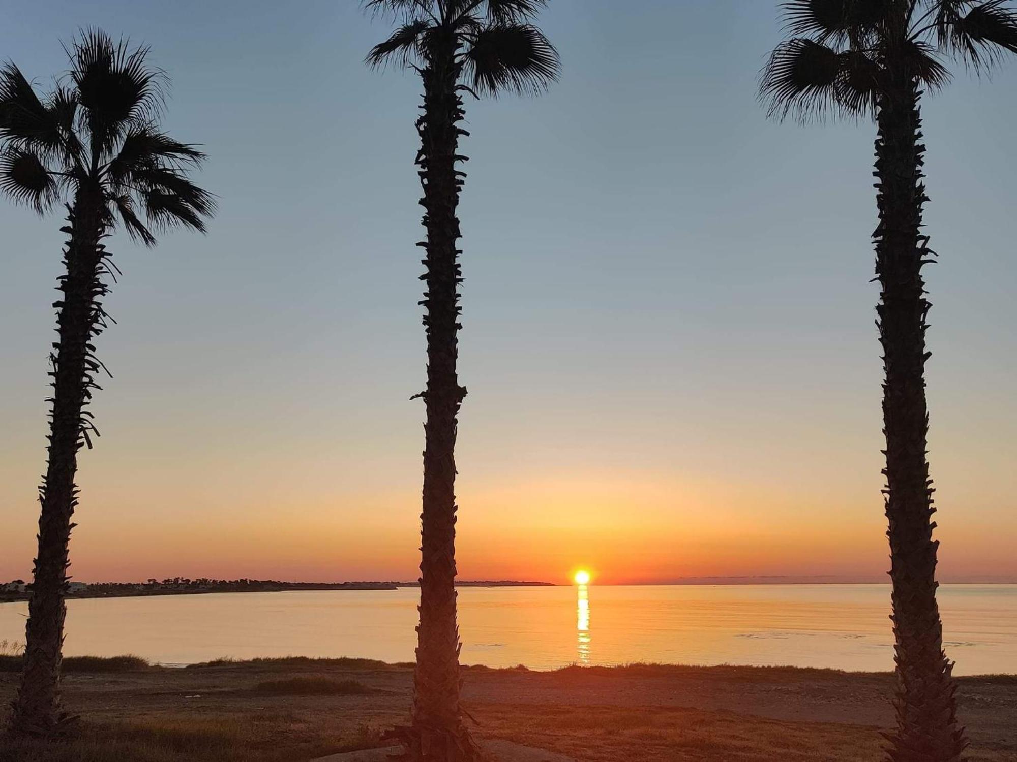 Palm Garden Paradise Перволия Экстерьер фото